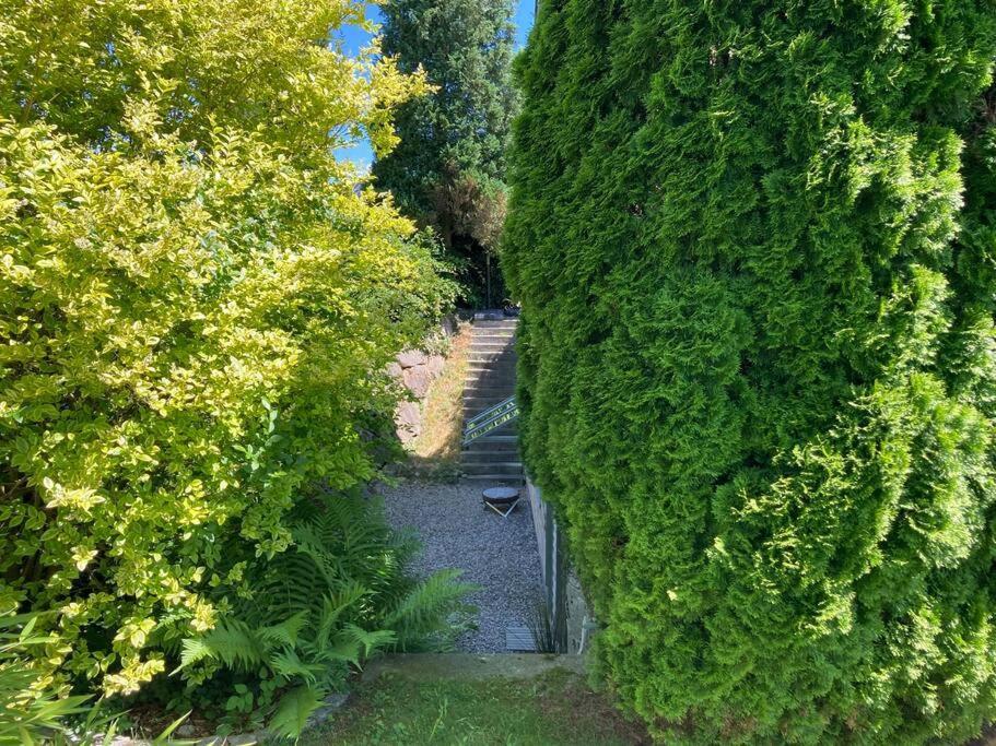 Schoene Einliegerwohnung Mit Freisitz. Ideal Fuer Geschaeftsleute Und Reisende Laufenburg Zewnętrze zdjęcie